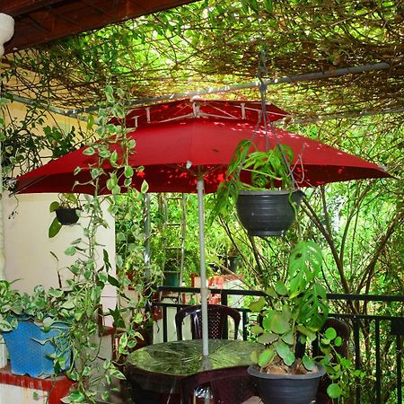 Tissa Rainbow Guest & Yala Hotel Tissamaharama Exterior photo